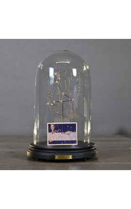 Cúpula de vidro no Zodiac (Peixes) montado na base de madeira