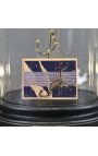 Szklana kopuła w Zodiaku (Skorpion) o pojemności nieprzekraczającej 50 cm3