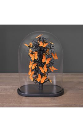 Farfalle "Appias Nero" sotto globo di vetro ovale