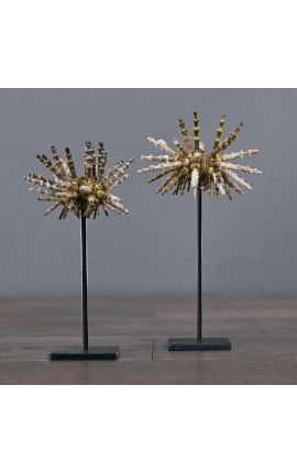 Set of 2 pencil urchins on black metal stand