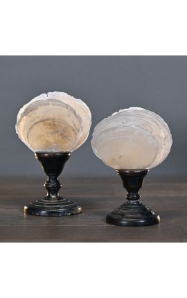 Set of 2 mother-of-pearl fans on black wooden baluster