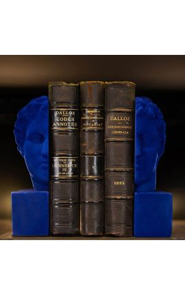 Een paar boekenkasten met het beeld van een hoofd van Blauwe Apollo