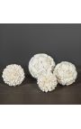 Set of 4 mosaic shell spheres