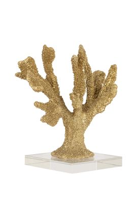 Corail Stylophora Pistillata gold on a transparent base