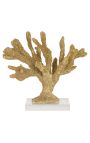 Corail Stylophora Pistillata gold on a transparent base