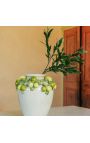 Green and yellow lemon vase in enamelled porcelain