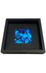 Decorative frame on black background with pieces of Morpho butterfly wings