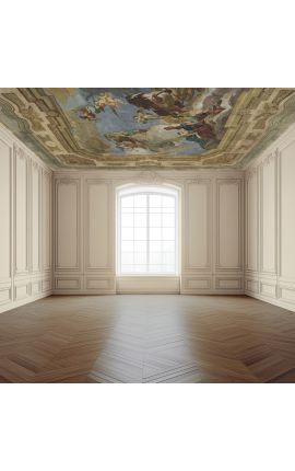 Panoramic wallpaper "Celestial scene" - 253 cm x 293 cm