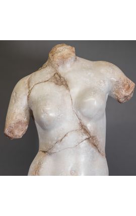 Escultura de bust acadèmic gran &quot;Gran Venus&quot; suport negre metall