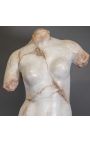 Grande scultura busto accademico "Grande Venus" metallo nero stand