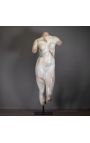 Grande scultura busto accademico "Grande Venus" metallo nero stand