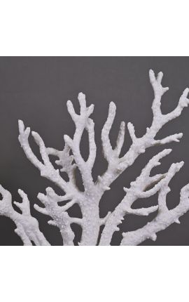 Large coral branch mounted on base in matt black wood