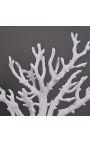 Large coral branch mounted on base in matt black wood