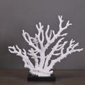 Large coral branch mounted on base in matt black wood