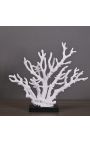 Large coral branch mounted on base in matt black wood