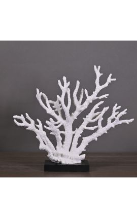 Large coral branch mounted on base in matt black wood