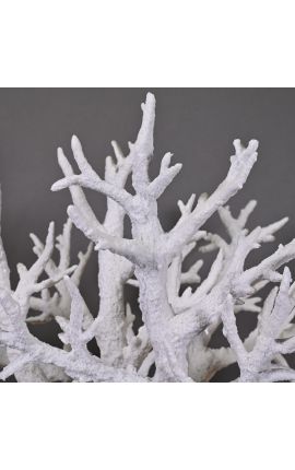 Very large coral branch mounted on base in matt black wood