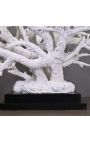 Very large coral branch mounted on base in matt black wood