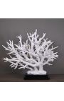 Very large coral branch mounted on base in matt black wood