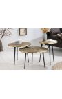 Ensemble de 3 tables basses "Arbre" en aluminium couleur laiton 60/50/40cm