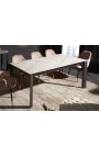 Meal table "CARRY" grey steel and top ceramic marble white 180-240